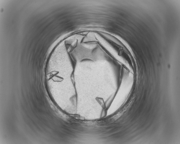 X0000086101341200704202231