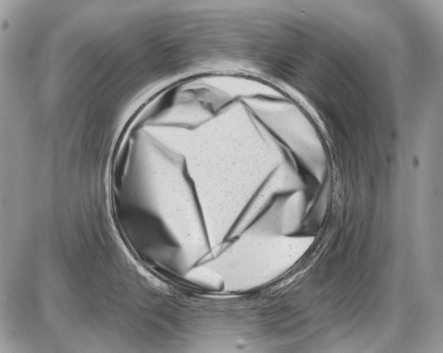 X0000086101343200704202231