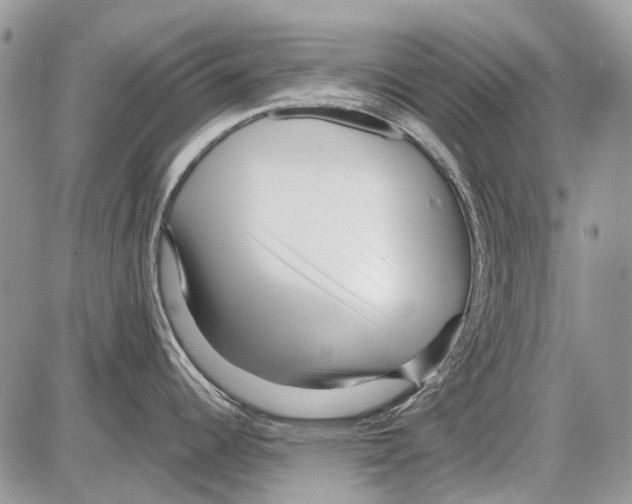 X0000086101344200704202231