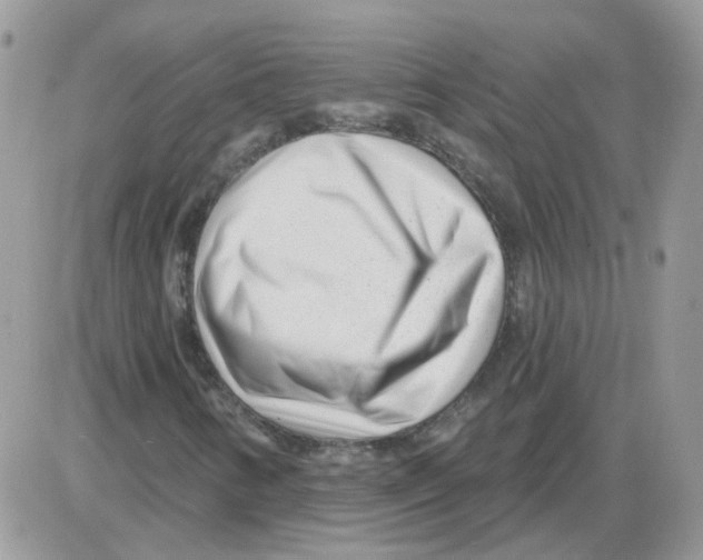 X0000086101346200704202231