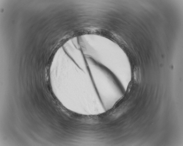 X0000086101347200704202231
