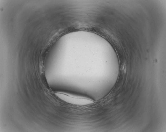 X0000086101348200704202231