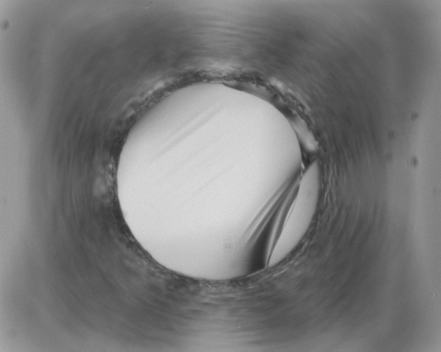 X0000086101349200704202231