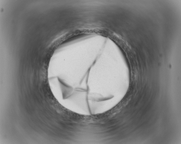 X0000086101350200704202231