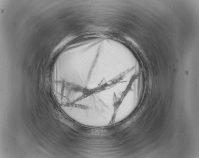 X0000086101354200704202231