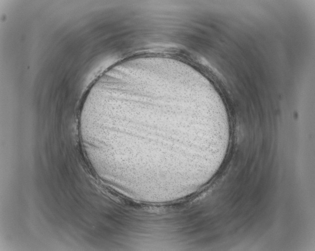 X0000086101362200704202230
