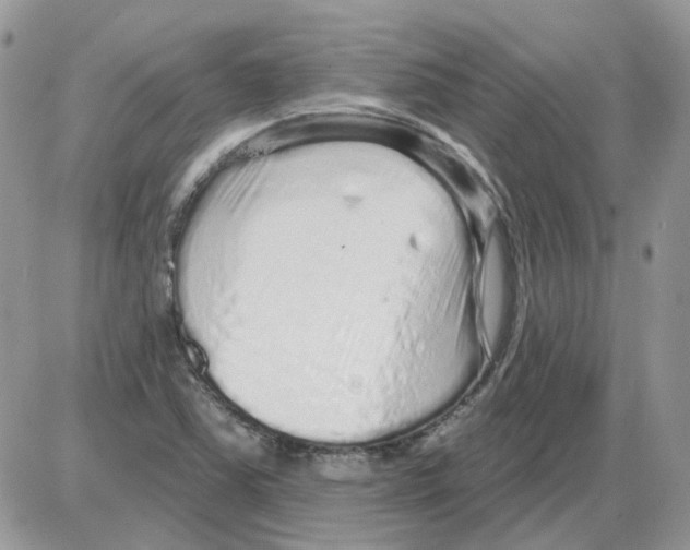 X0000086101363200704202230