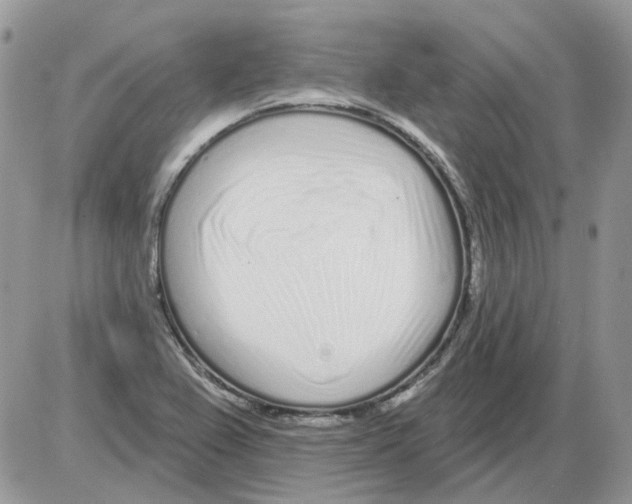 X0000086101367200704202230
