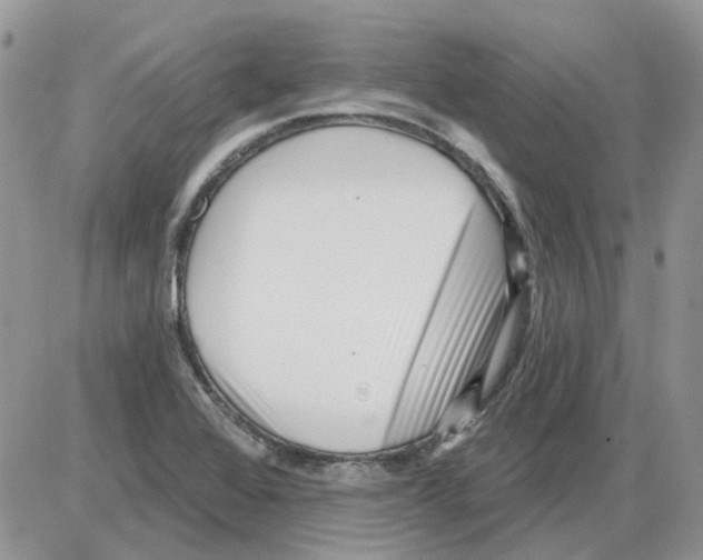 X0000086101368200704202230