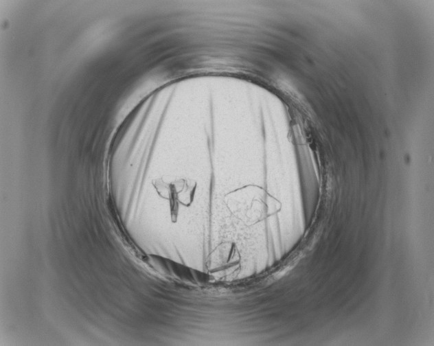X0000086101370200704202230