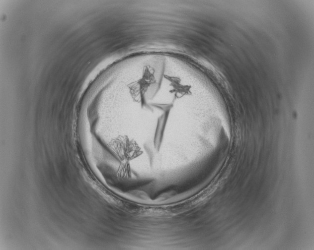 X0000086101374200704202230