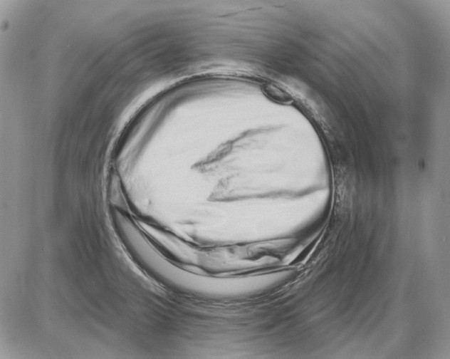 X0000086101375200704202230