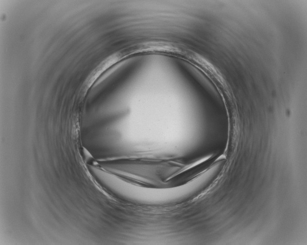 X0000086101377200704202230