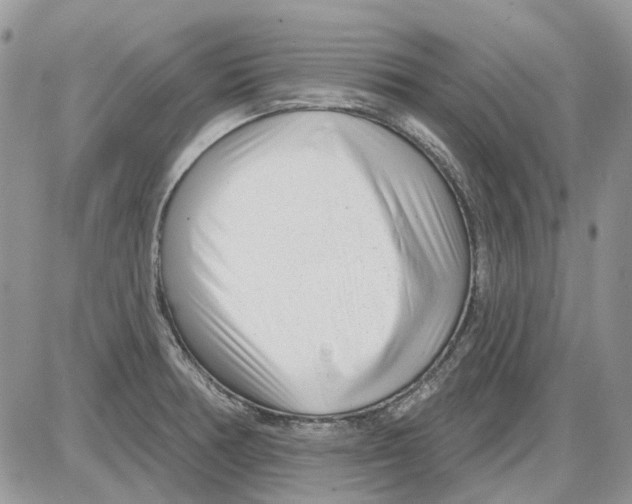 X0000086101378200704202230