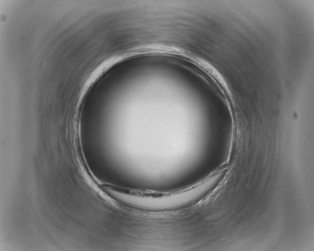 X0000086101381200704202230