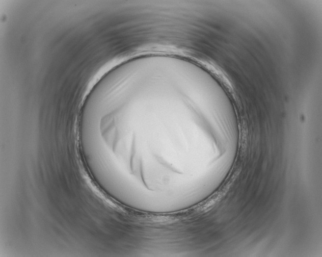 X0000086101382200704202230