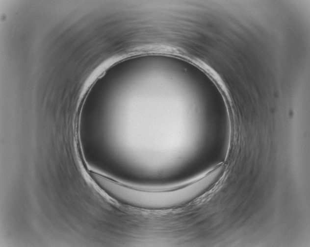 X0000086101389200704202230