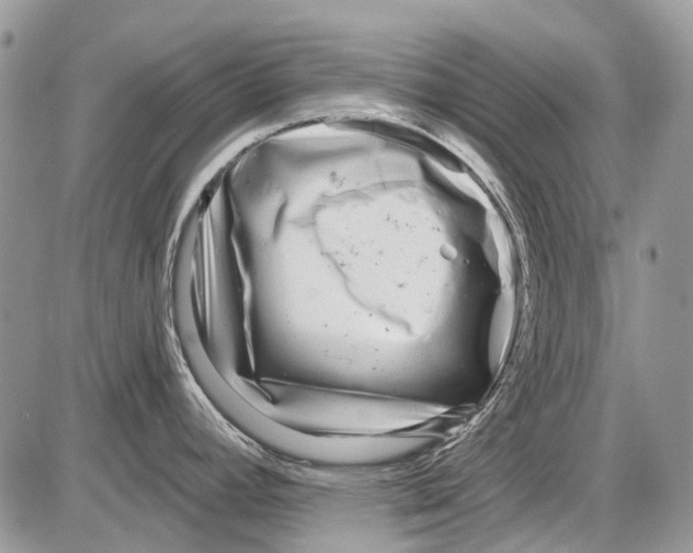 X0000086101392200704202230