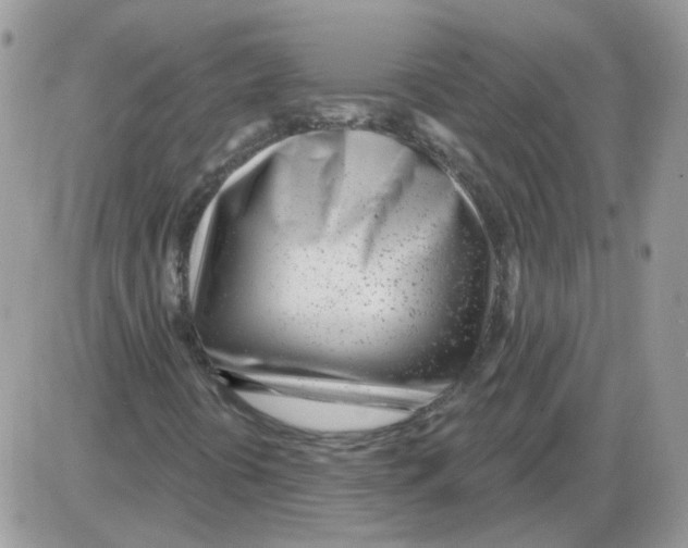 X0000086101394200704202229