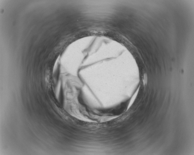 X0000086101396200704202229