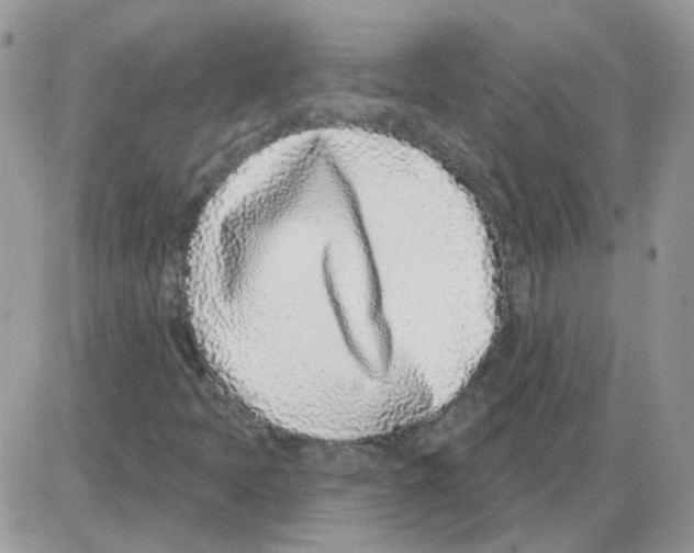 X0000086101397200704202229