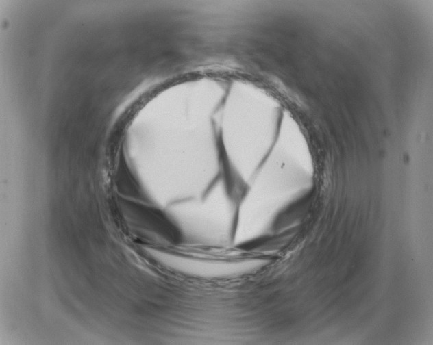 X0000086101400200704202229