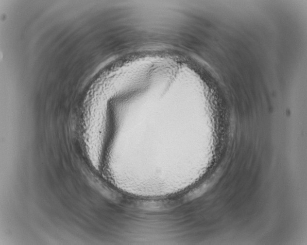 X0000086101401200704202229