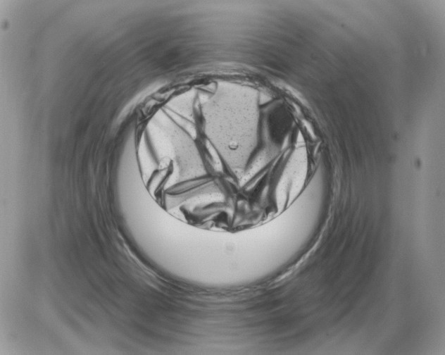 X0000086101402200704202229