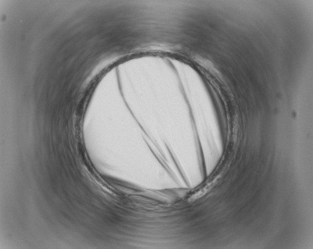 X0000086101404200704202229