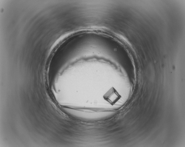X0000086101412200704202229
