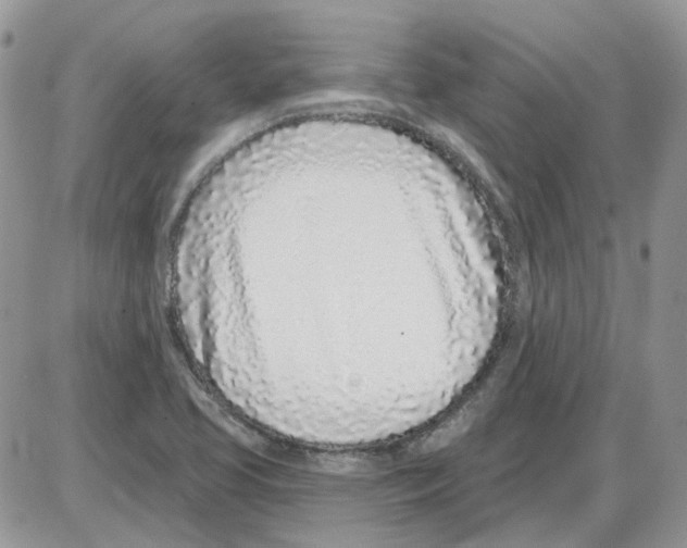 X0000086101413200704202229