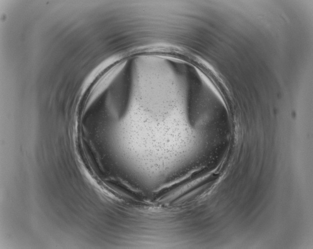 X0000086101418200704202230