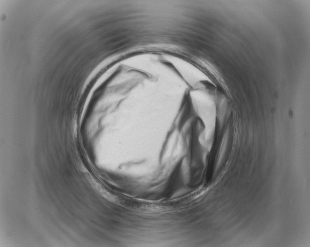 X0000086101420200704202230