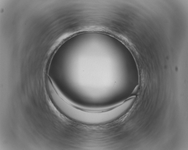 X0000086101422200704202230