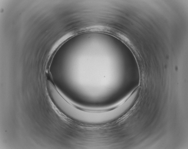 X0000086101426200704202230