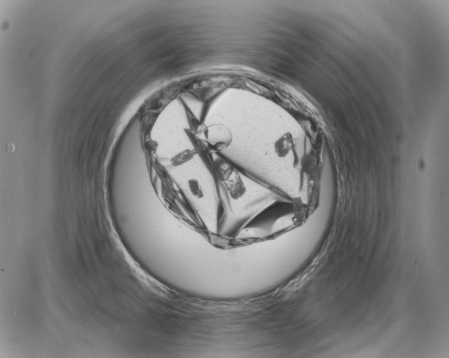 X0000086101430200704202230