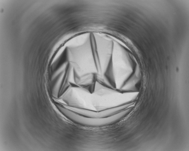 X0000086101432200704202230