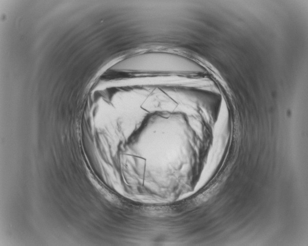 X0000086101433200704202230
