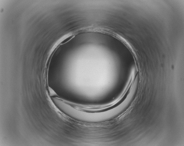X0000086101434200704202230