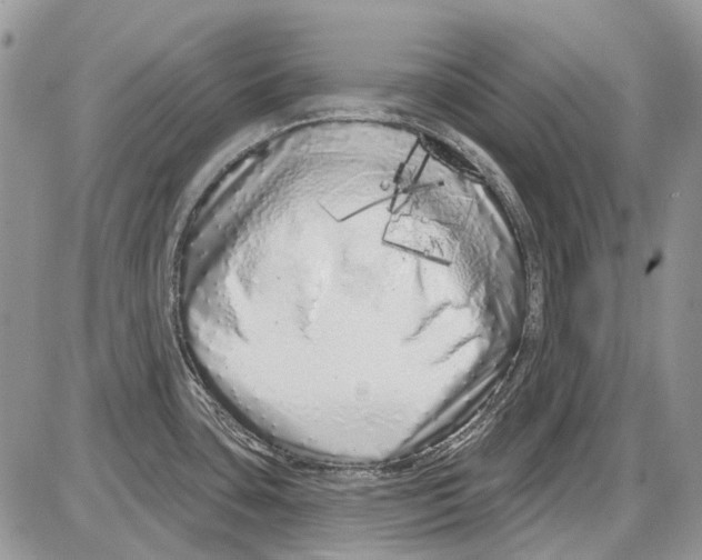X0000086101435200704202230