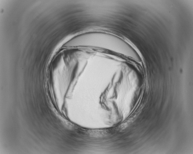 X0000086101437200704202230