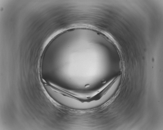 X0000086101438200704202230