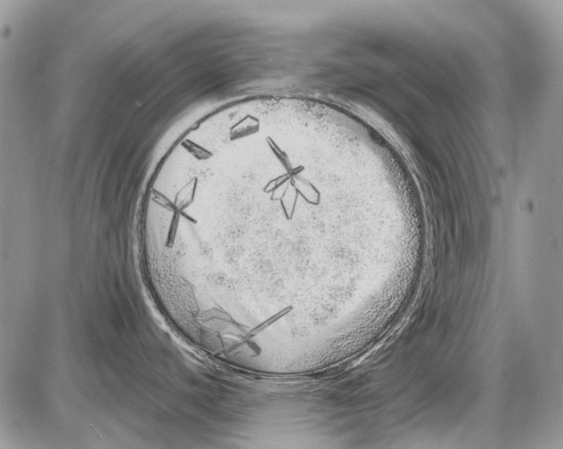 X0000086101440200704202230