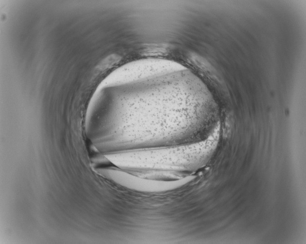 X0000086101441200704202229