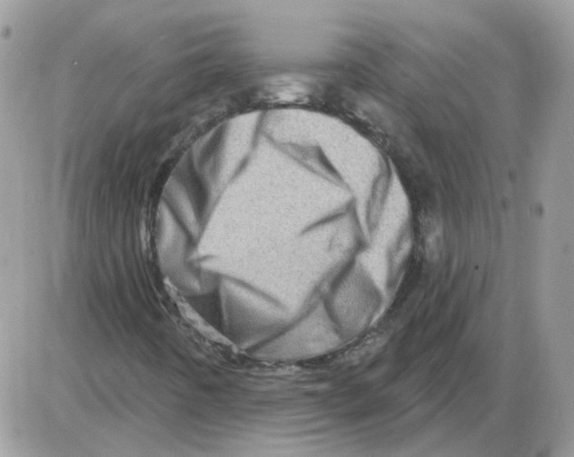 X0000086101442200704202229