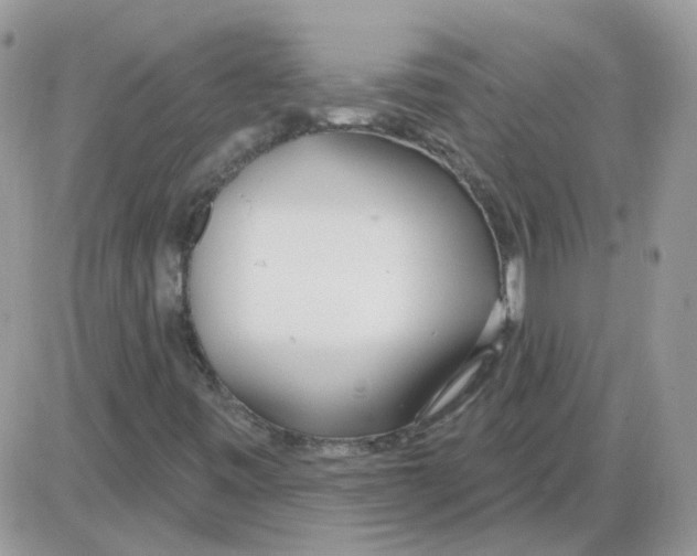 X0000086101443200704202229