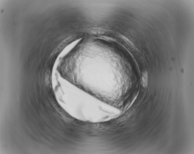 X0000086101444200704202229