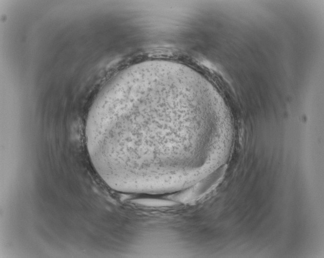 X0000086101445200704202229