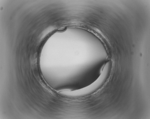 X0000086101450200704202229