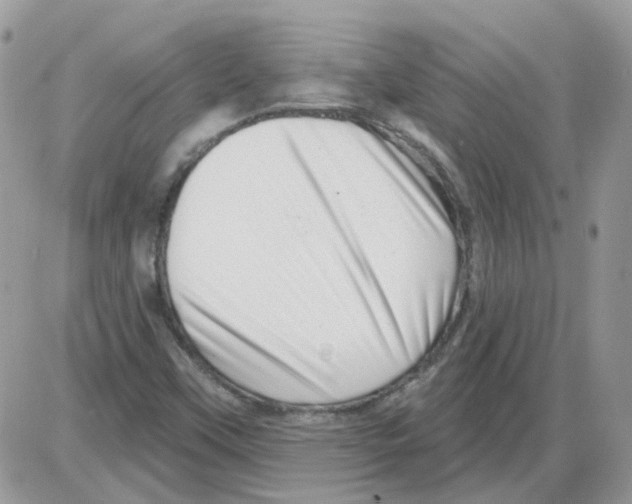 X0000086101451200704202229